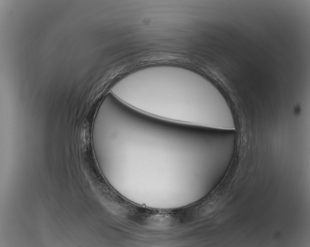 X0000116270119200911301025