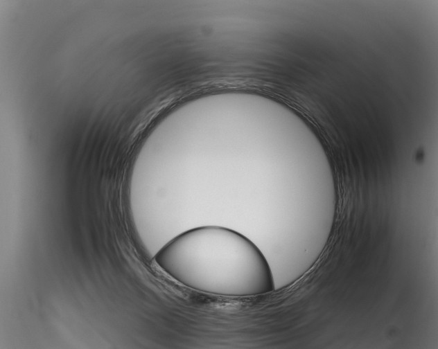 X0000116270120200911301025