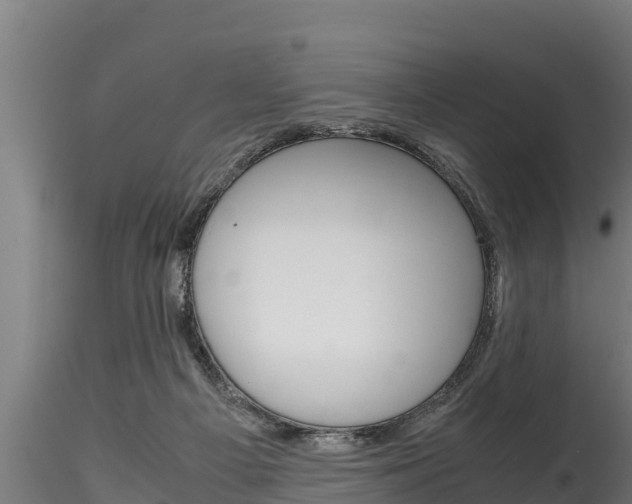 X0000116270121200911301025