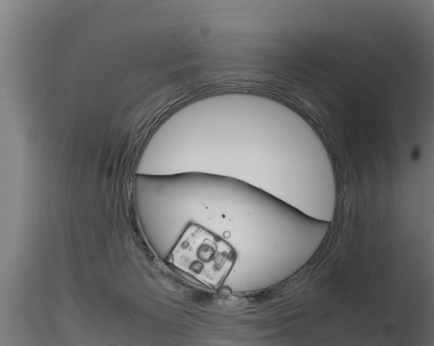 X0000116270125200911301025