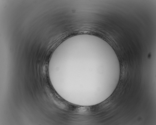 X0000116270126200911301025
