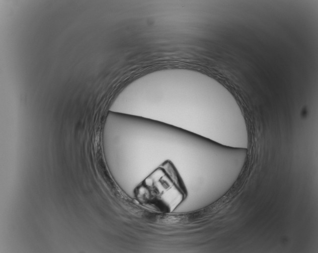 X0000116270129200911301025