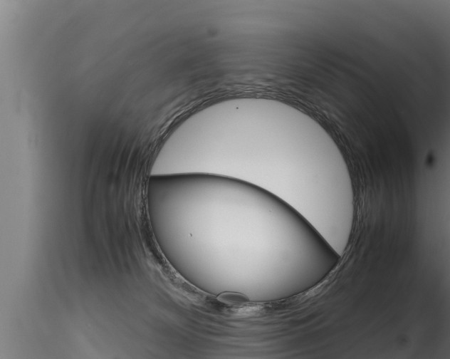 X0000116270132200911301025