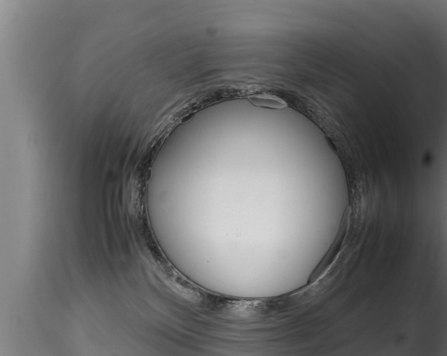 X0000116270136200911301025