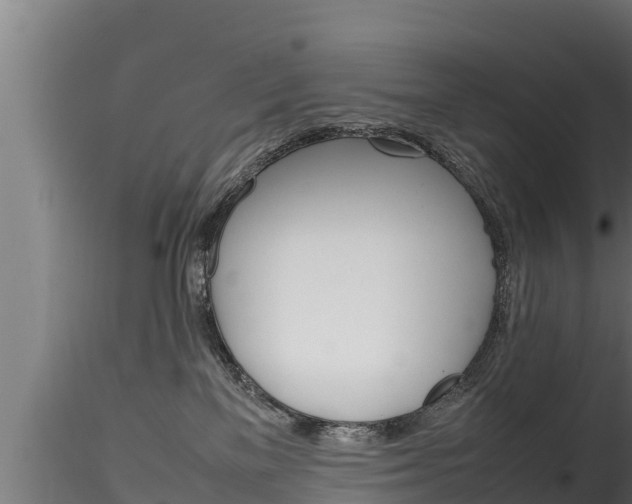 X0000116270137200911301025