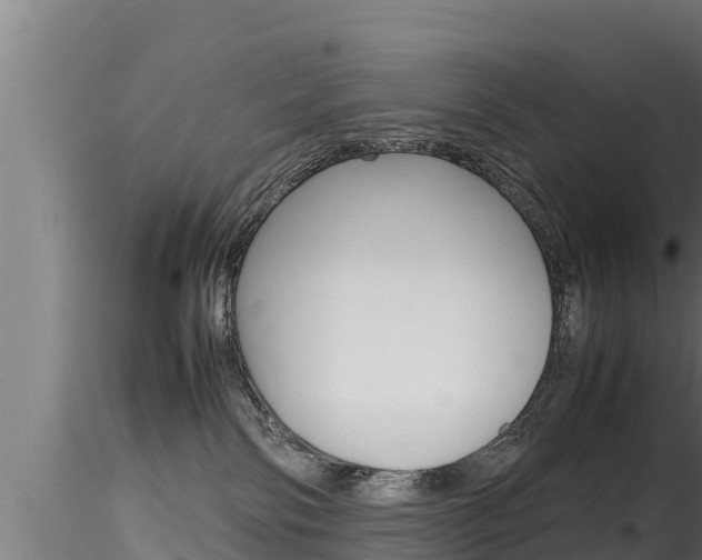 X0000116270138200911301025