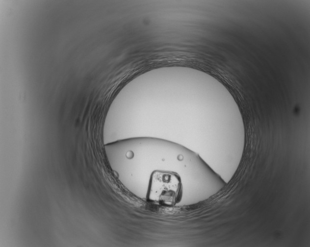 X0000116270141200911301025