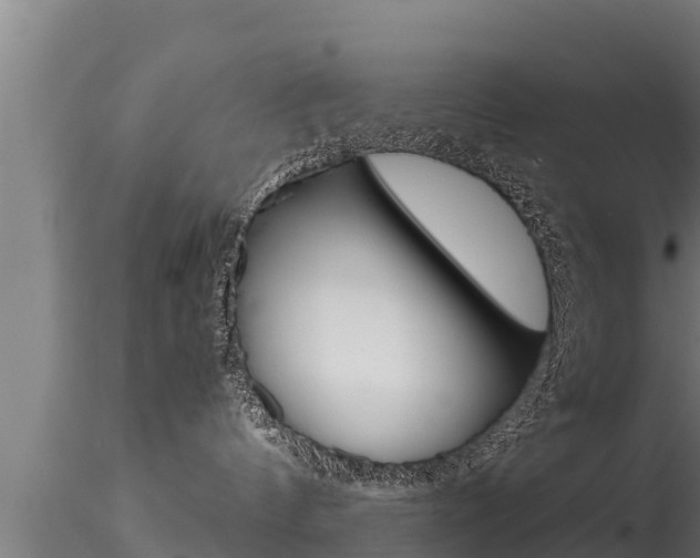 X0000116270144200911301025