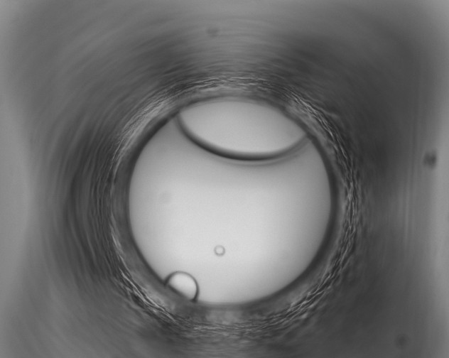 X0000116270145200911301024