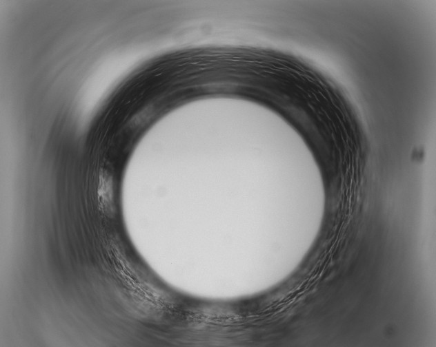 X0000116270146200911301024