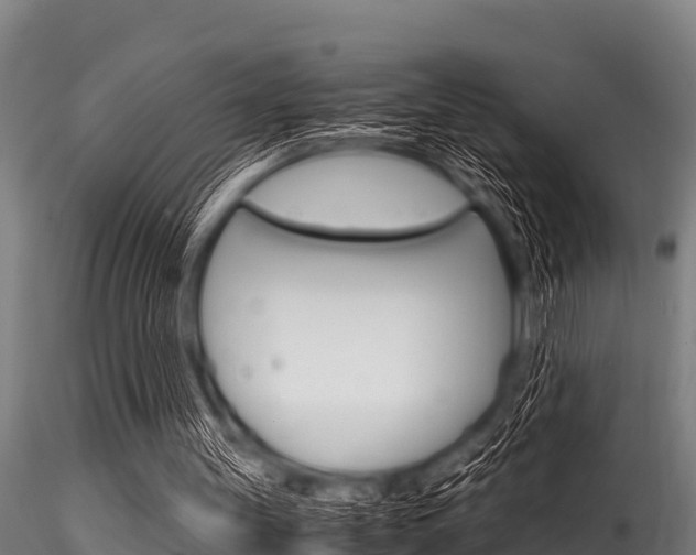 X0000116270147200911301025