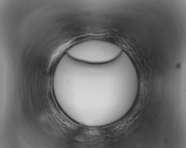 X0000116270149200911301025