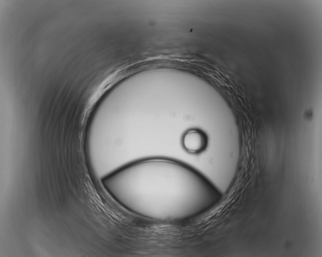 X0000116270150200911301025