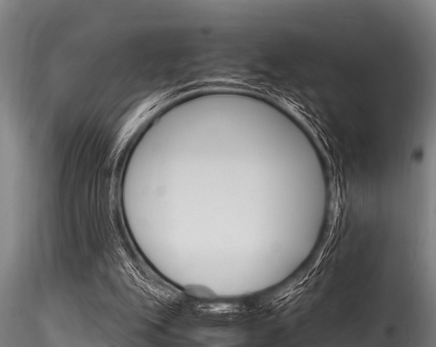 X0000116270151200911301025