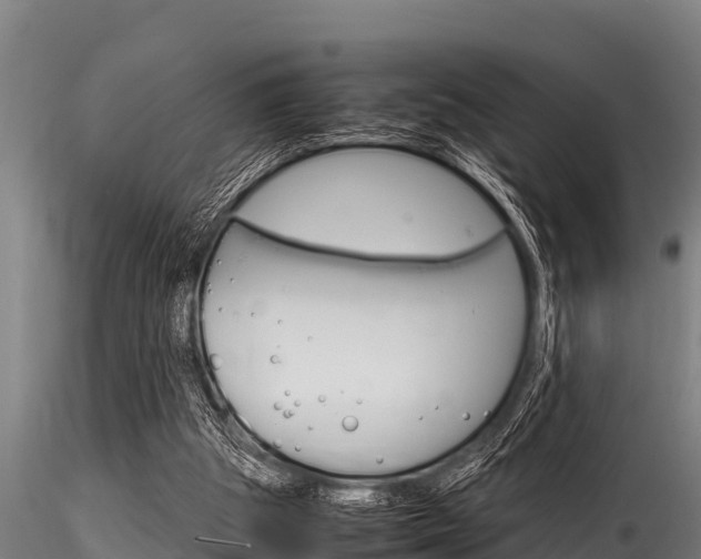 X0000116270153200911301025