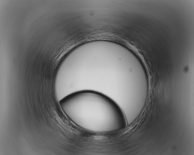 X0000116270154200911301025