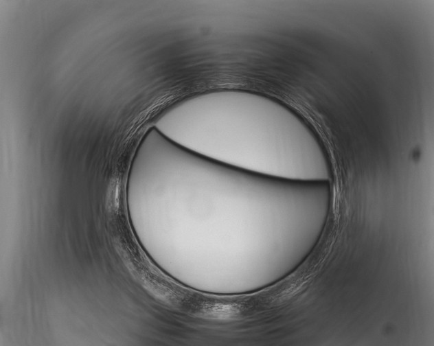 X0000116270157200911301025