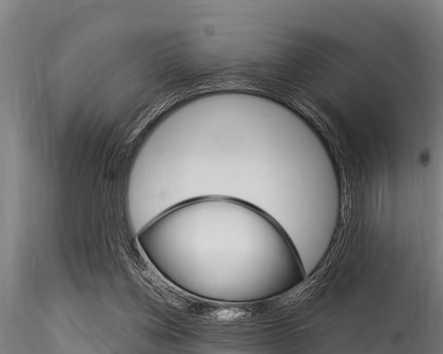 X0000116270158200911301025