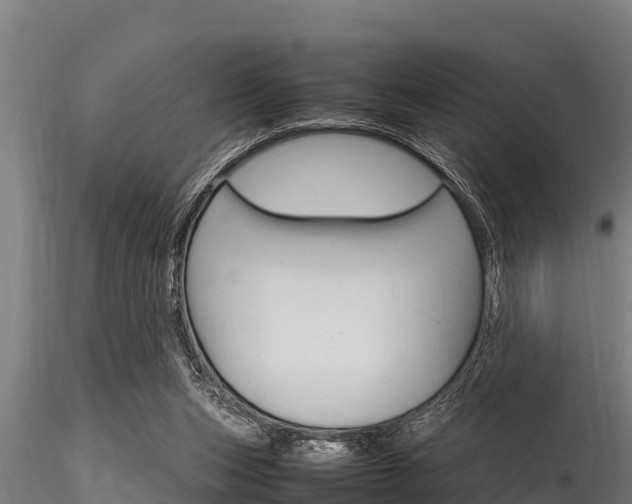 X0000116270159200911301025
