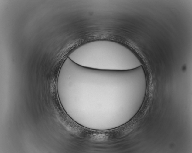 X0000116270161200911301025