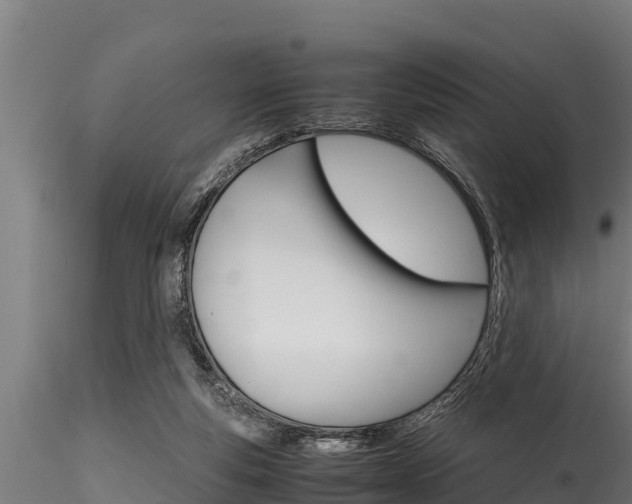 X0000116270163200911301025