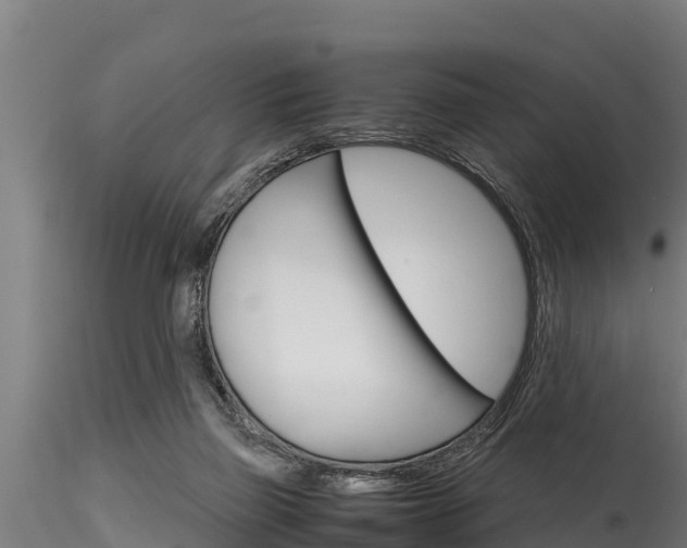 X0000116270165200911301025
