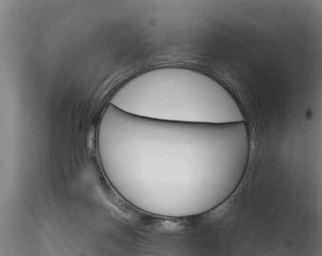 X0000116270166200911301025