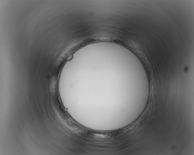 X0000116270167200911301025