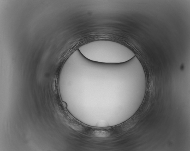 X0000116270169200911301025
