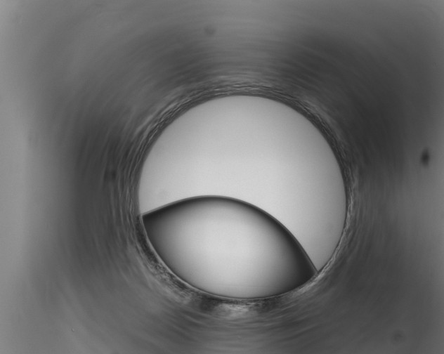 X0000116270170200911301025