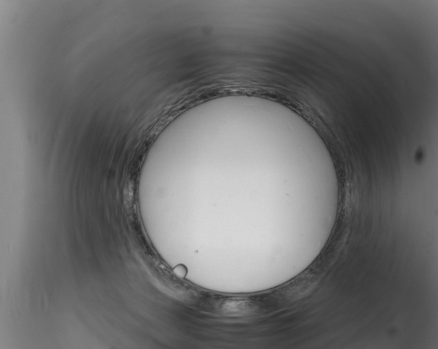 X0000116270173200911301025