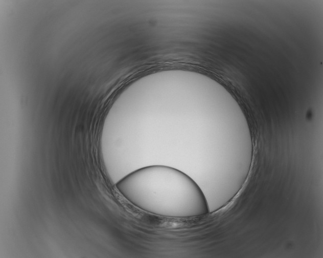 X0000116270174200911301025