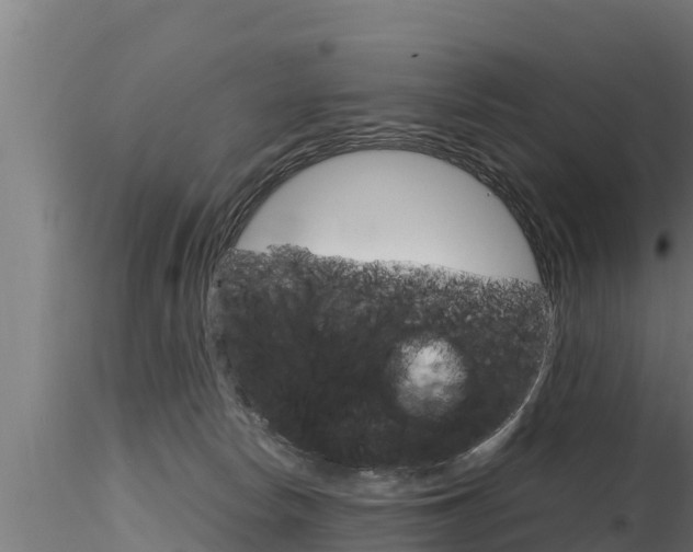 X0000116270178200911301025