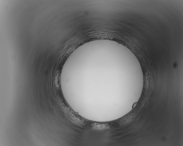 X0000116270185200911301025