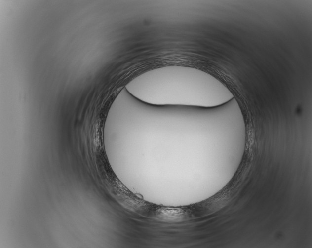 X0000116270189200911301025