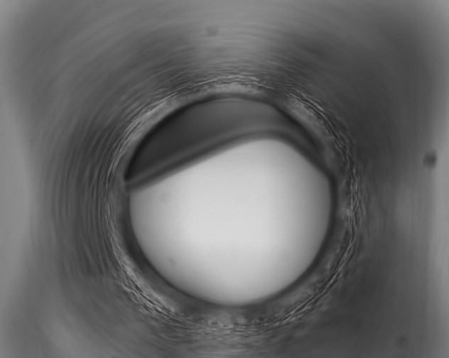 X0000116270193200911301024
