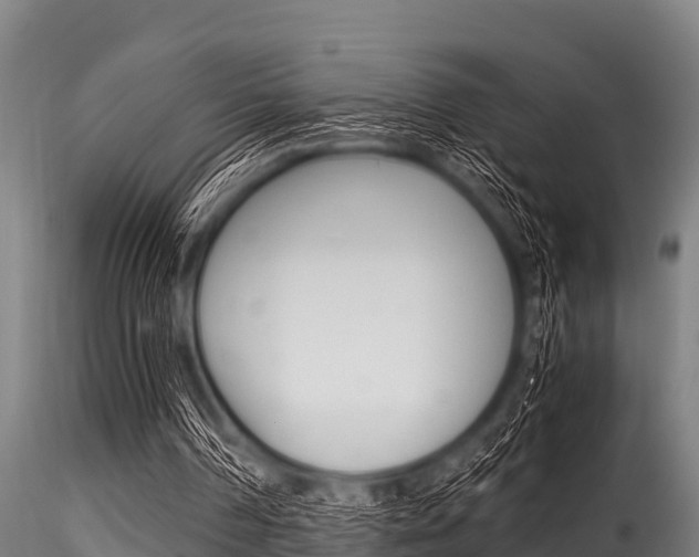 X0000116270194200911301024