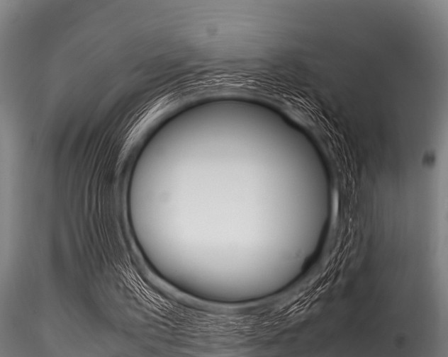 X0000116270195200911301024