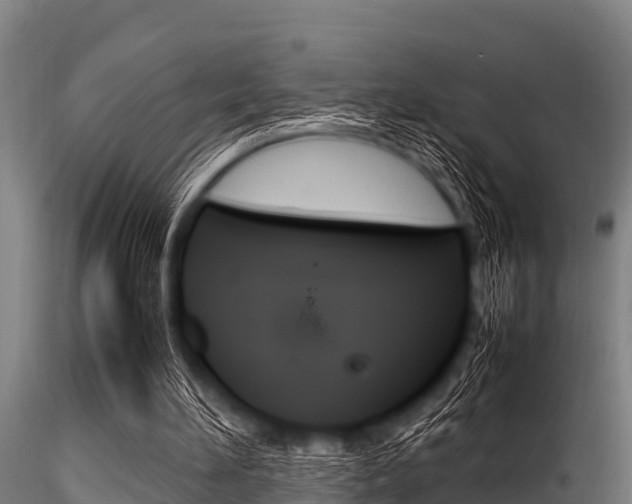 X0000116270196200911301024