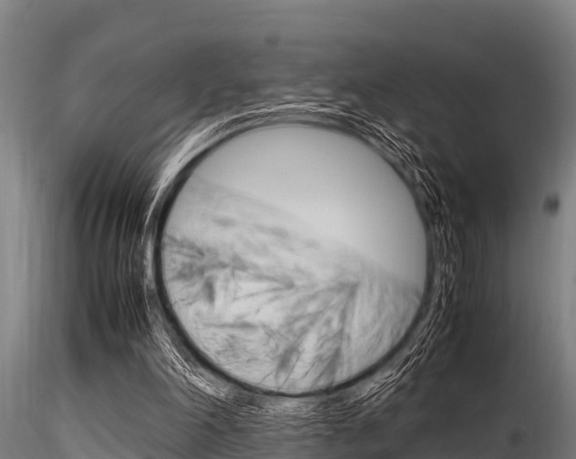 X0000116270198200911301024