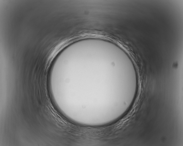 X0000116270199200911301024