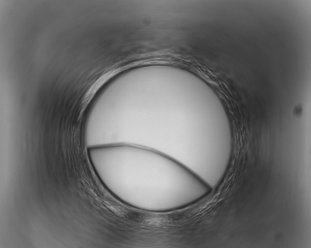 X0000116270200200911301024