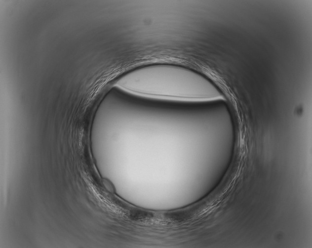 X0000116270201200911301024