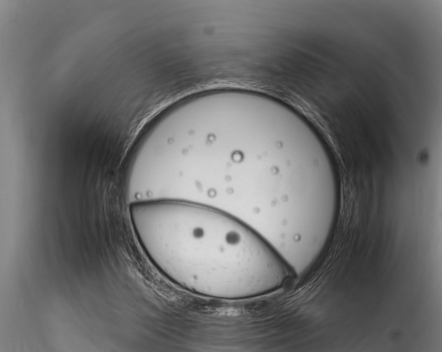 X0000116270204200911301024