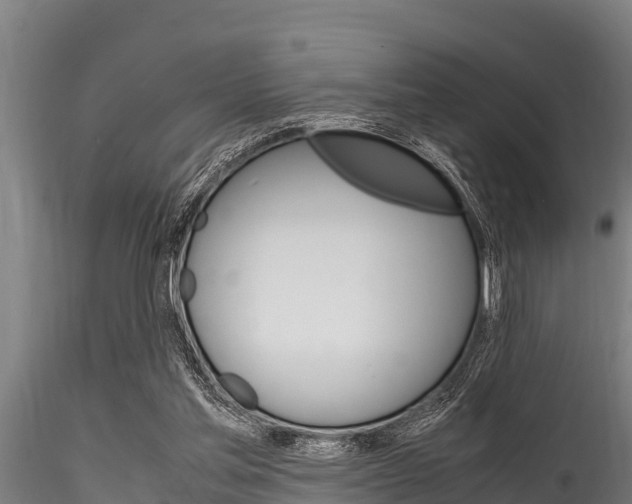 X0000116270205200911301024