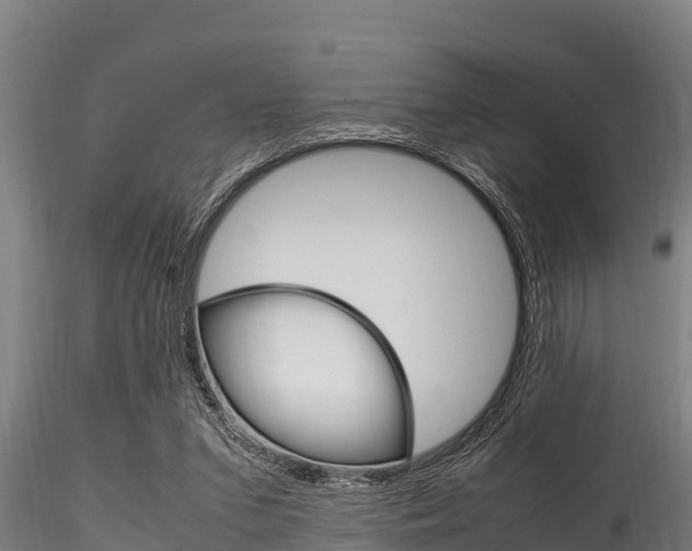 X0000116270207200911301024