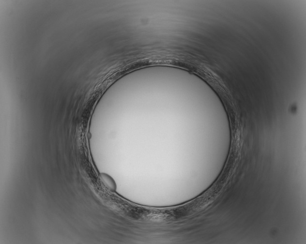 X0000116270209200911301024