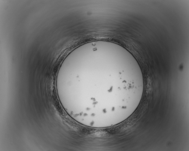 X0000116270210200911301024