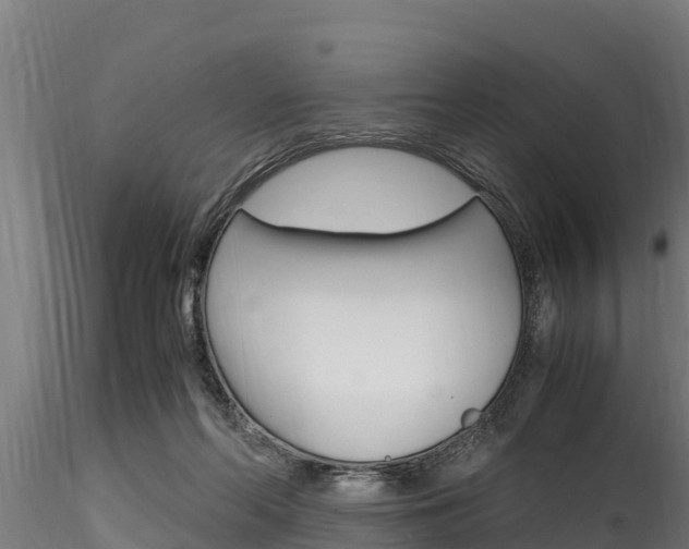 X0000116270214200911301024