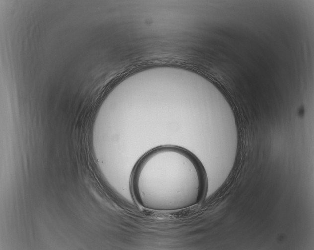 X0000116270215200911301024